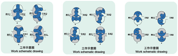 LQ系列衛生級凸輪轉子泵結構圖