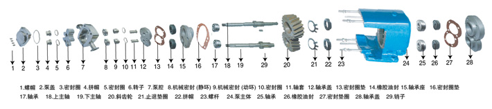 LQ系列衛生級凸輪轉子泵轉子的形式
